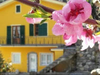 Agriturismo Costa di Campo