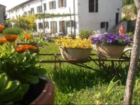 Agriturismo alle Torricelle