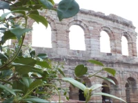 La Terrazza sullArena