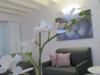 Vicolo Zini Apartments