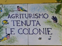 Tenuta Le Colonie