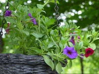 BindesbГёlgГҐrd Farm Holiday