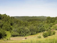 Dayz SГёhГёjlandet Holiday Resort