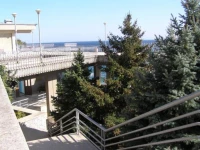 РђР»СѓРїРєРёРЅСЃРєРёР№ Р¦Р’РљРЎ