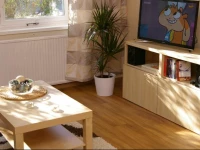 Ferienwohnungen Albert - Dresden Zentrum