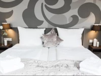 Hotel am Festspielhaus Bayerischer Hof - Superior