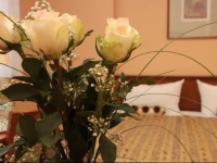 Hotel Potsdamer Hof Berlin am Potsdamer Platz