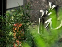 The Hotel Zen Urban Resort