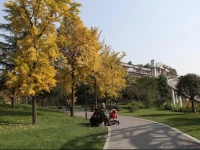 318 Outing Club Youth Hostel