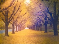 Agile Tianfu Hotel Apartment