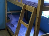 Chengdu Panda Baby Youth Hostel