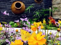 Chengdu Season Inn.Youth Inn