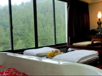 Zhang Jiajie Grand Metro Park Resort