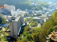 Zhangjiajie Fufeng Business Hotel