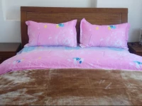 е¤§зђ†жњЁе­ђй‡Ње®ўж €