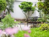 е¤§зђ†дє‘е†Ќе€«еў…еє­й™ўе®ўж €