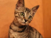 Cloud and Snow Boutique Inn