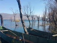 Dali Jasmine Blossom Seaview Villa