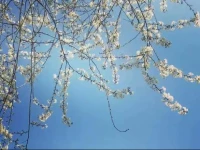 Depth of Field Guesthouse Dali