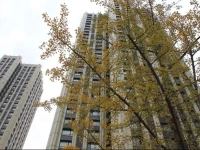 Dalian Xinghai Square Holiday Apartment