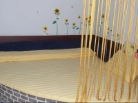 Travelers Youth Hostel