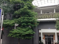 Qingchengshan Jingqingyuan Farmstay