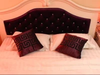 Fortune Service Apartment 3*