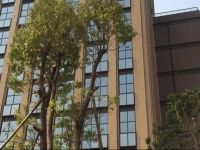 Guangzhou Yuanyi Hotel Apartment (Pazhou International Exhibition Centre Branch)