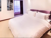 Leisuer Plus Hotel Apartment (Changdi Min Jian Finance Building)