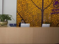 Nomo Apartment Changlong Paradise North Gate