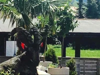 Landgasthof Steinbock