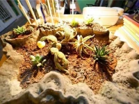 Yangshuo Yisu Xijie Hostel