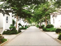 Golden Tiandi Holiday Apartment Baoan Jiangnan City