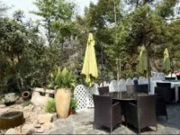 Flower Inn - West Lake Branch 3*