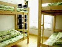 Green Cicada Youth Hostel