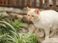 Hangzhou Jingjing Home Boutique Inn