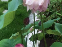 Hangzhou Woyunn Yue Opera Theme Inn