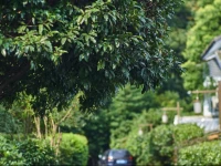 Yueshang Yunshe Boutique Hostel