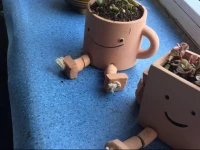 Harbin On The Way Youth Hostel