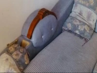 Harbin Qinqin Baobei Apartment