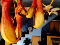 Zhongba Youth Hostel