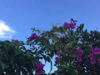 Kunming Allylive Inn