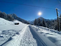 Landhaus Am Plattenbichl