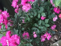 Kunshan Zhouzhuang Yinzibang Riverside Inn