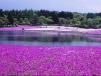 Leshan Hongjing Hotel