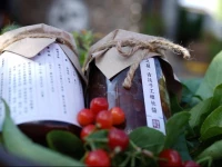 Home Away from Home - Spring Resort