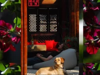 Lijiang Lazy Tiger Inn