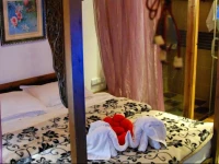 Flowers in Mirror Inn