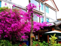 International Youth Hostel Lijiang