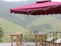 Longsheng Golden dragon country villa